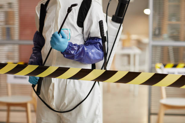 Professional Sewage Cleanup technician working in Wellfleet, MA
